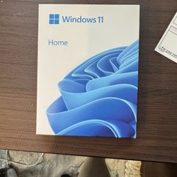 Windows 11 (USB Install)