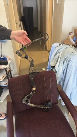 Martin compound bow