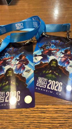 Blizzcon  Sunday