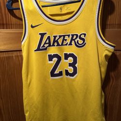 Lebron Mens Jersey