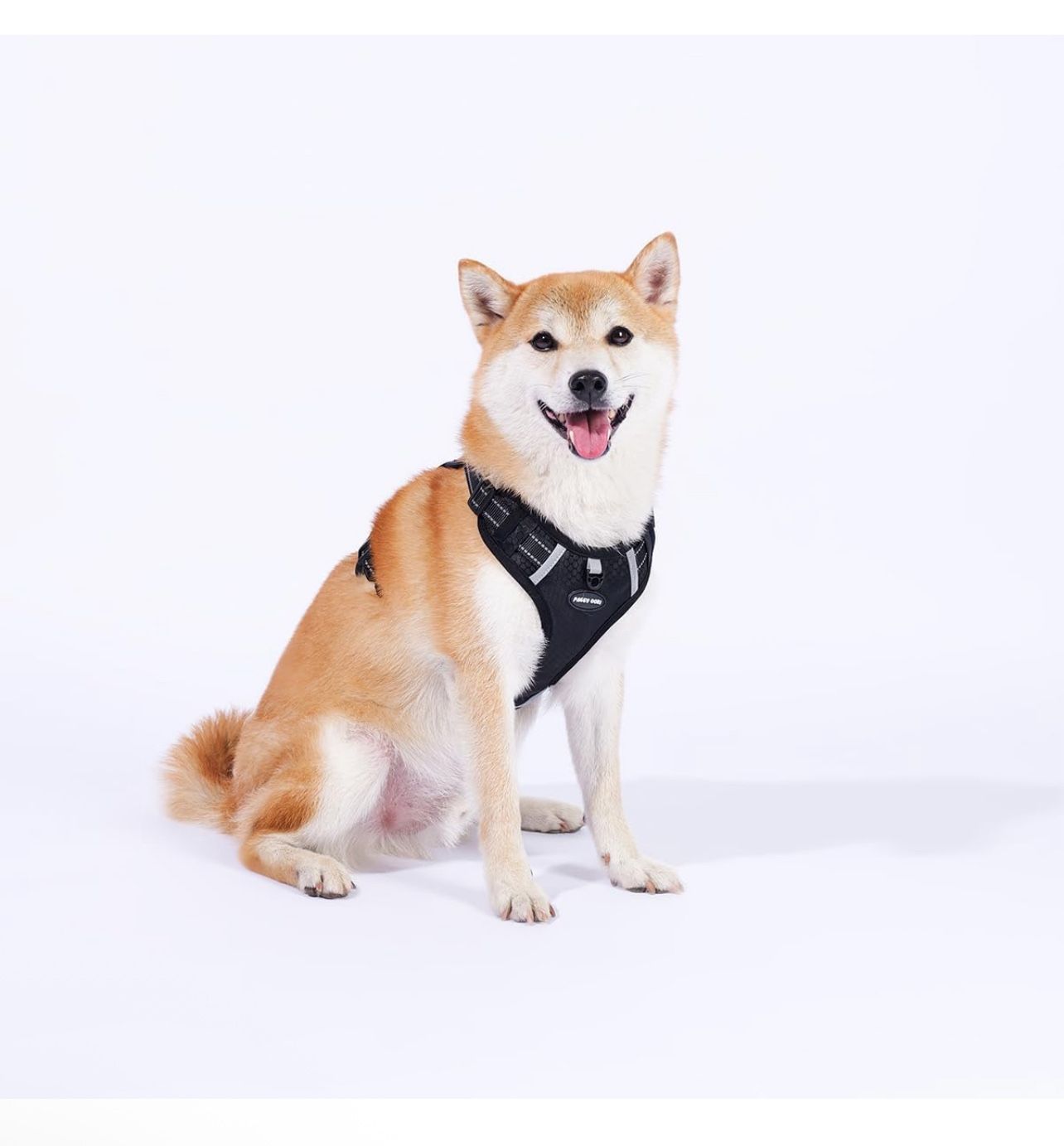 Breathable mesh Dog Harness No Pull and Leash Set Adjustable Pet Harness with Soft Padded Vertical Handle for Lifting Reflective No-Choke Dog Vest 2 L
