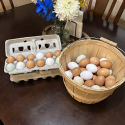 Eggs