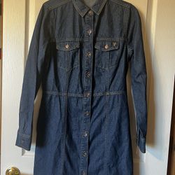 Frye Women’s Denim Dress