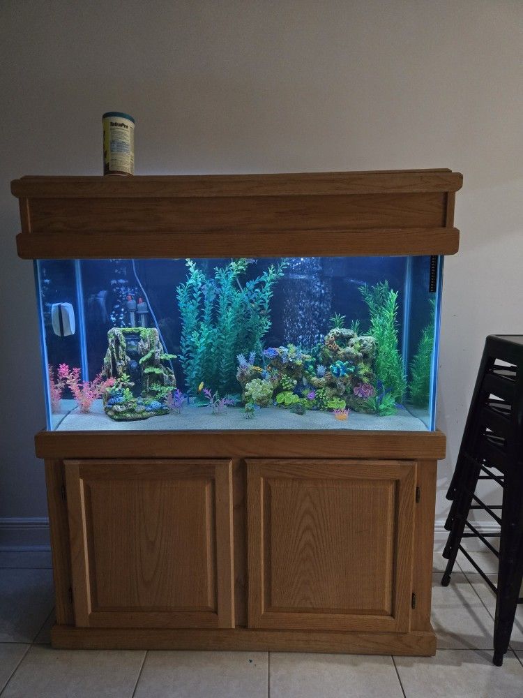 Fish Tank