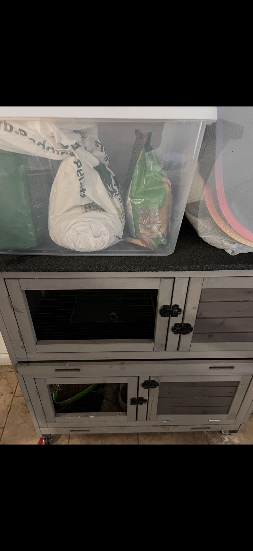 Dwarf Lionhead Bunny Cage