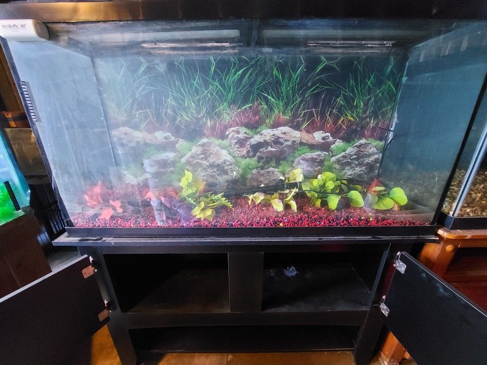 Fish Tank 65gallon Tank,Top,Stand