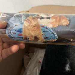 Cat Toys