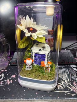 Jumping spider enclosure