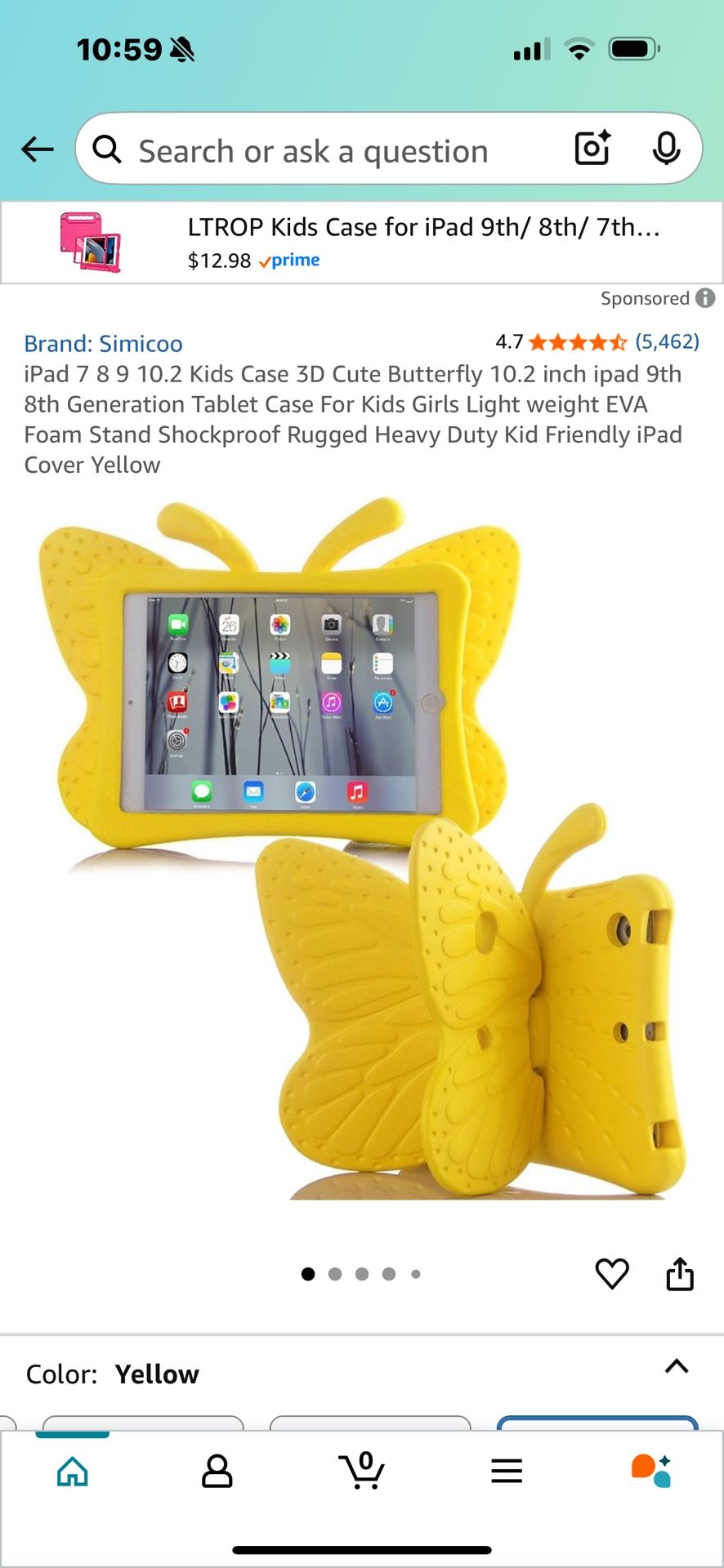 iPad Case