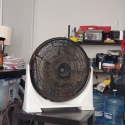 Fan