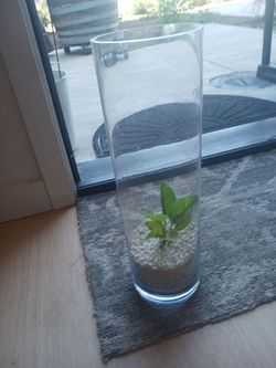 Glass vase