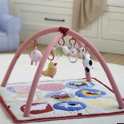 Skip Hop X Pbk Fun On The Farm Activity Gym