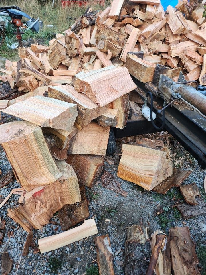 Firewood Nice Fir