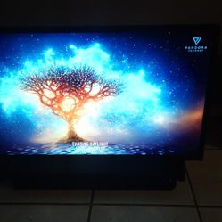 75in Insignia 4k UHD TV 