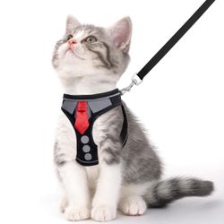 Harness And Leash Set
