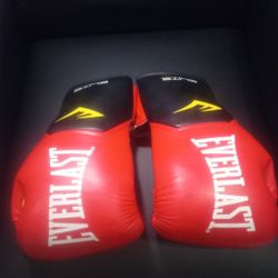 EVERLAST ELITE BOXING GLOVES 