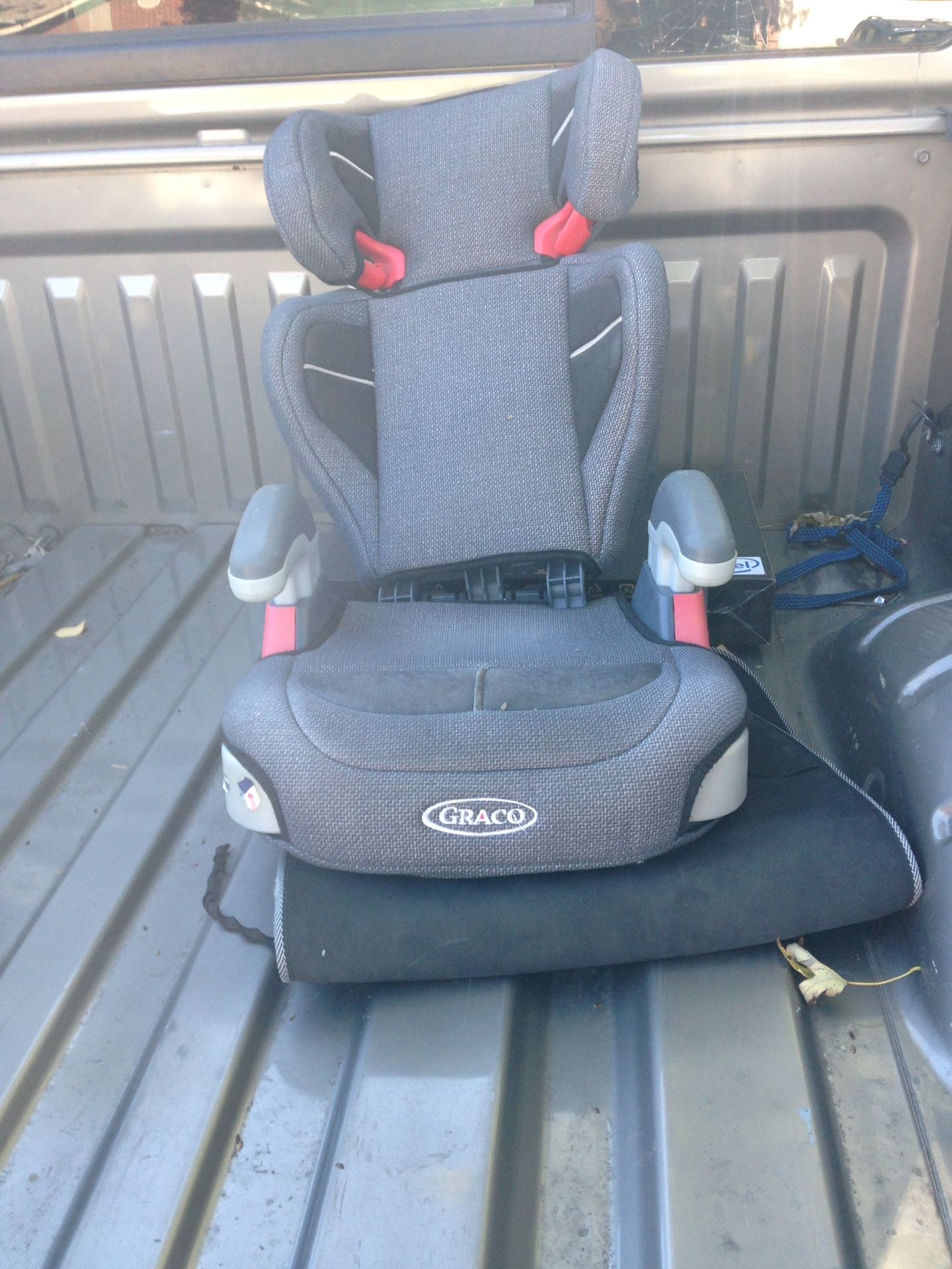 Free stuff. Cat carrier and car seat