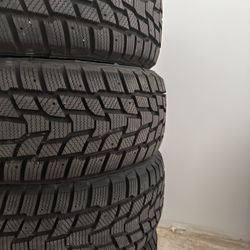 Cooper Evolution Winter Winter-Season 205/55R16XL 94H Tires (set of 4)