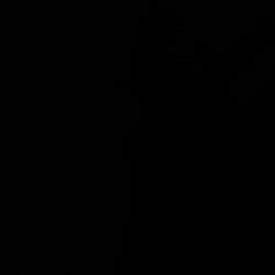 Subtronics Day 2 Ticket