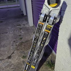Gorilla 18' Ladder 