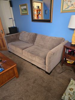 Free Suede Couch