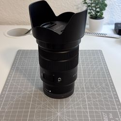 Sony 18-105mm f4 G Lens