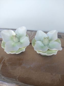 Porcelain Magnolia Salt Pepper Shakers (2)