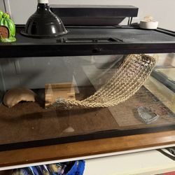 40 gallon Lizard Tank + Accessories 