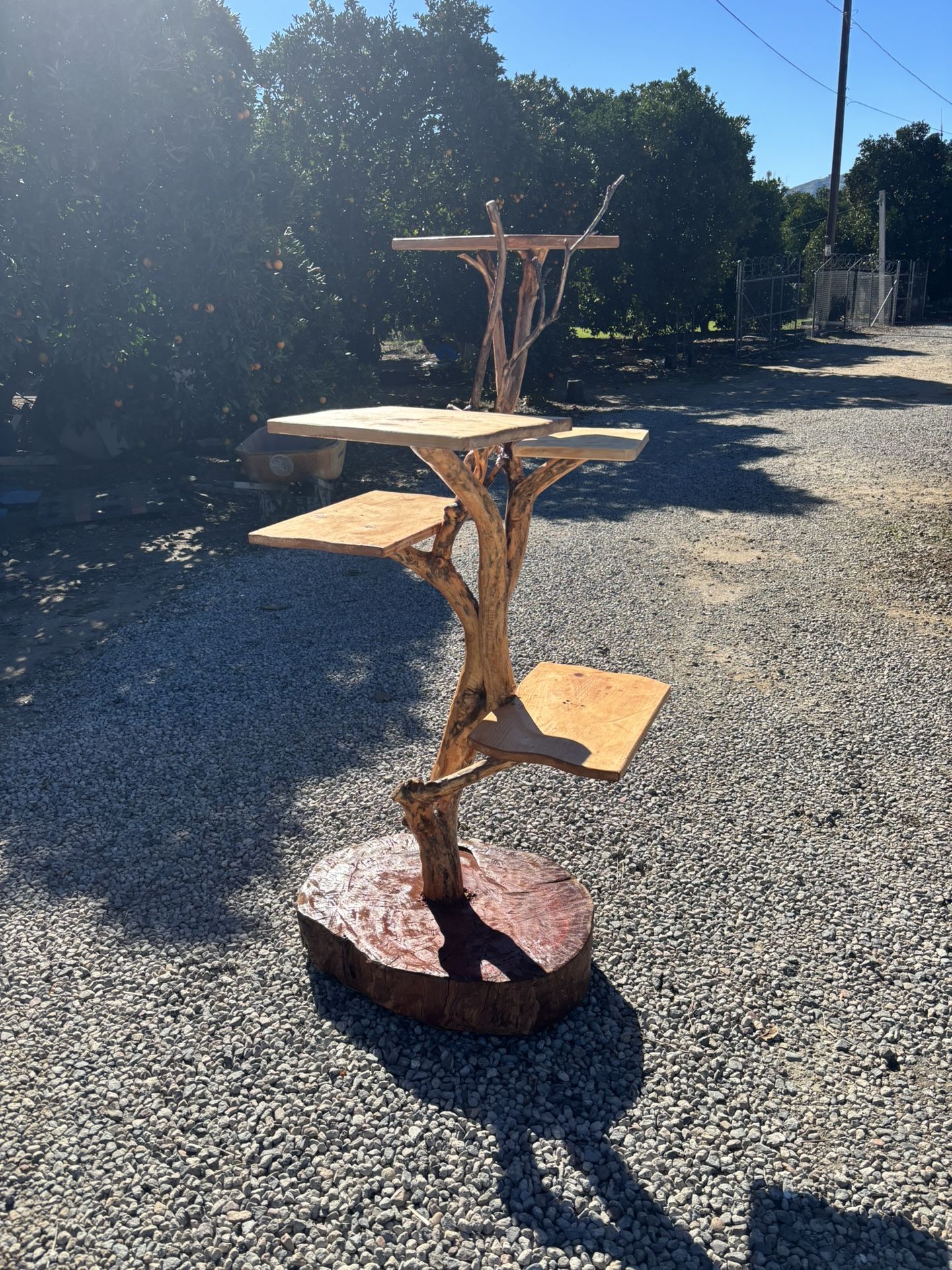 Tree For Plants Or Cat .