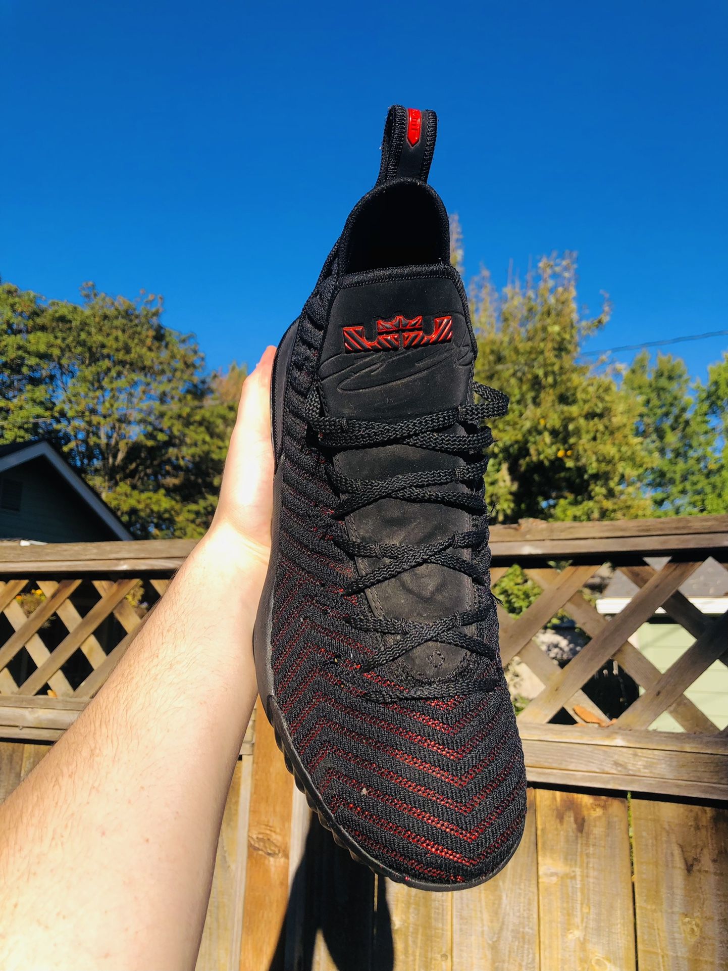 LeBron 16 BRED