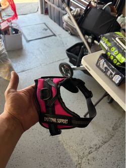 Dog harness