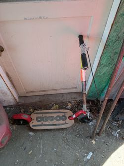 Go ped Kick Scooter Red and Wood