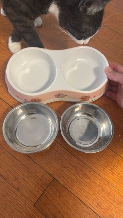 Cats Bowl.