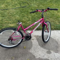 24” Girls Mountain Bike 