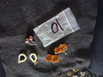 Earrings Lot