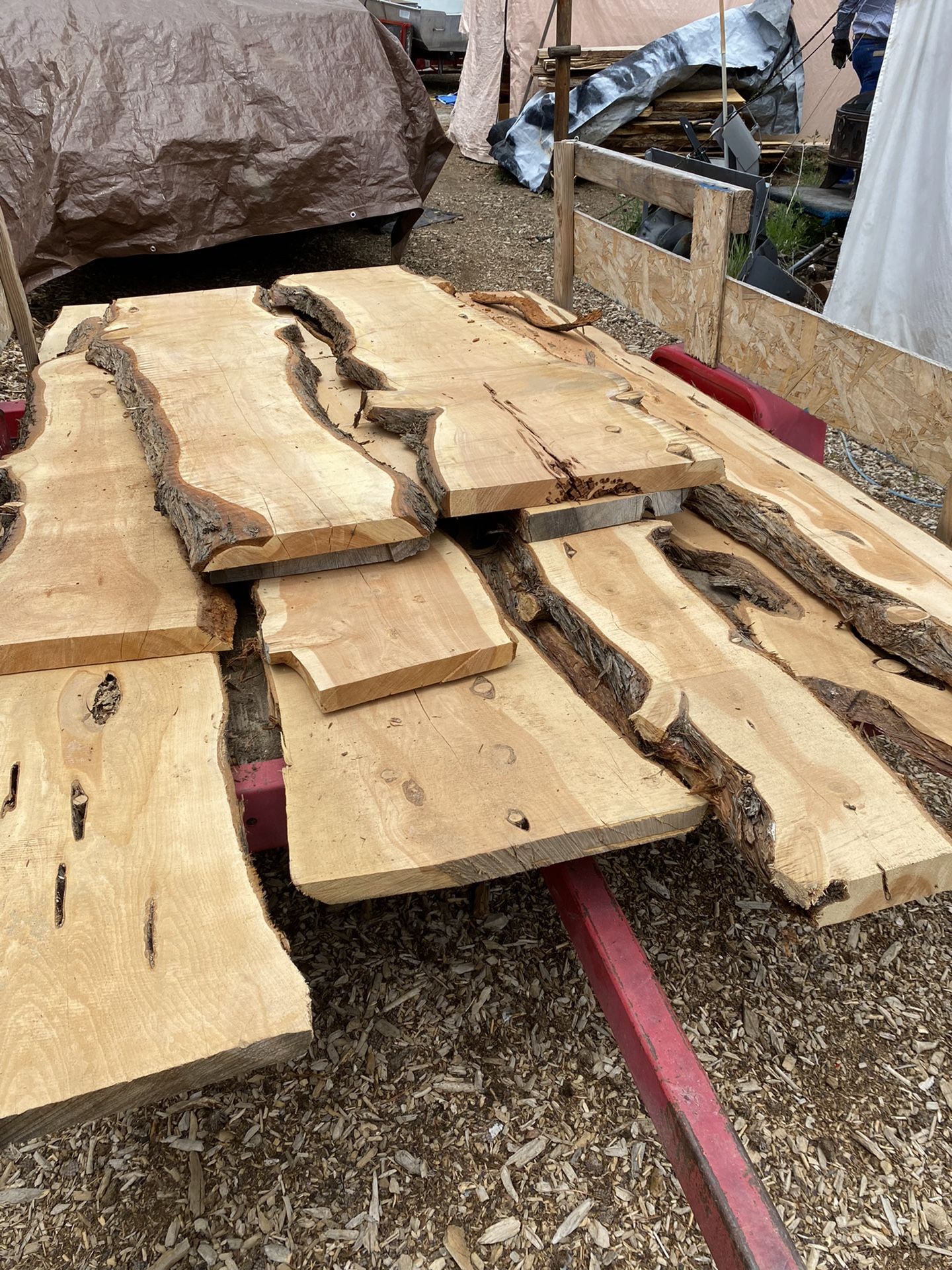 JUNIPER AND PINE SLABS