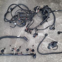 BMW F30 N55 Wiring Harness