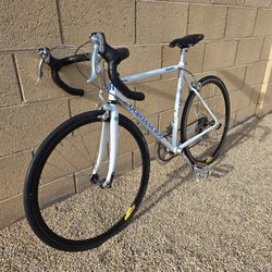 Quintana Roo Palomar Steel Road Race Tri Bike 650c 49cm Small Frame