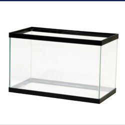 Gecko Tank + Heating Pads