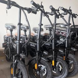 Electric Bike