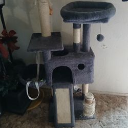 Cat Tree 