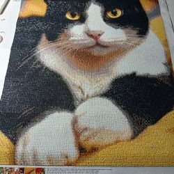 Cat diamond art painting