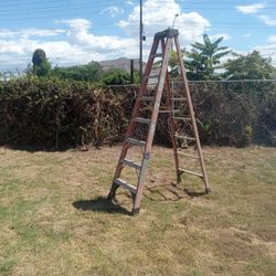 Ladder A Frame 8 Footer