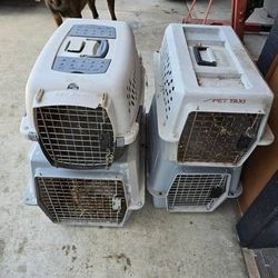 Assorted Dog Crates 