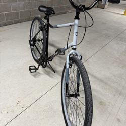 Adult Bike
