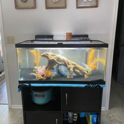 55 Gallon Fish Tank, Stand, And All Supplies!