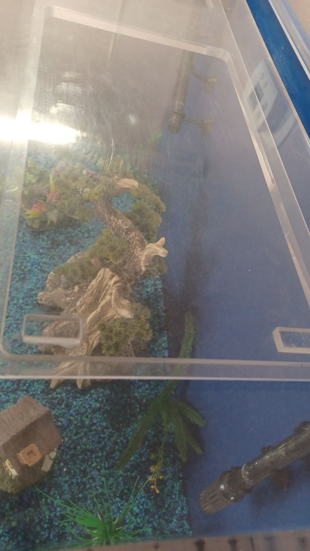 Aquarium With Stand for Sale in Henderson, NV OfferUp