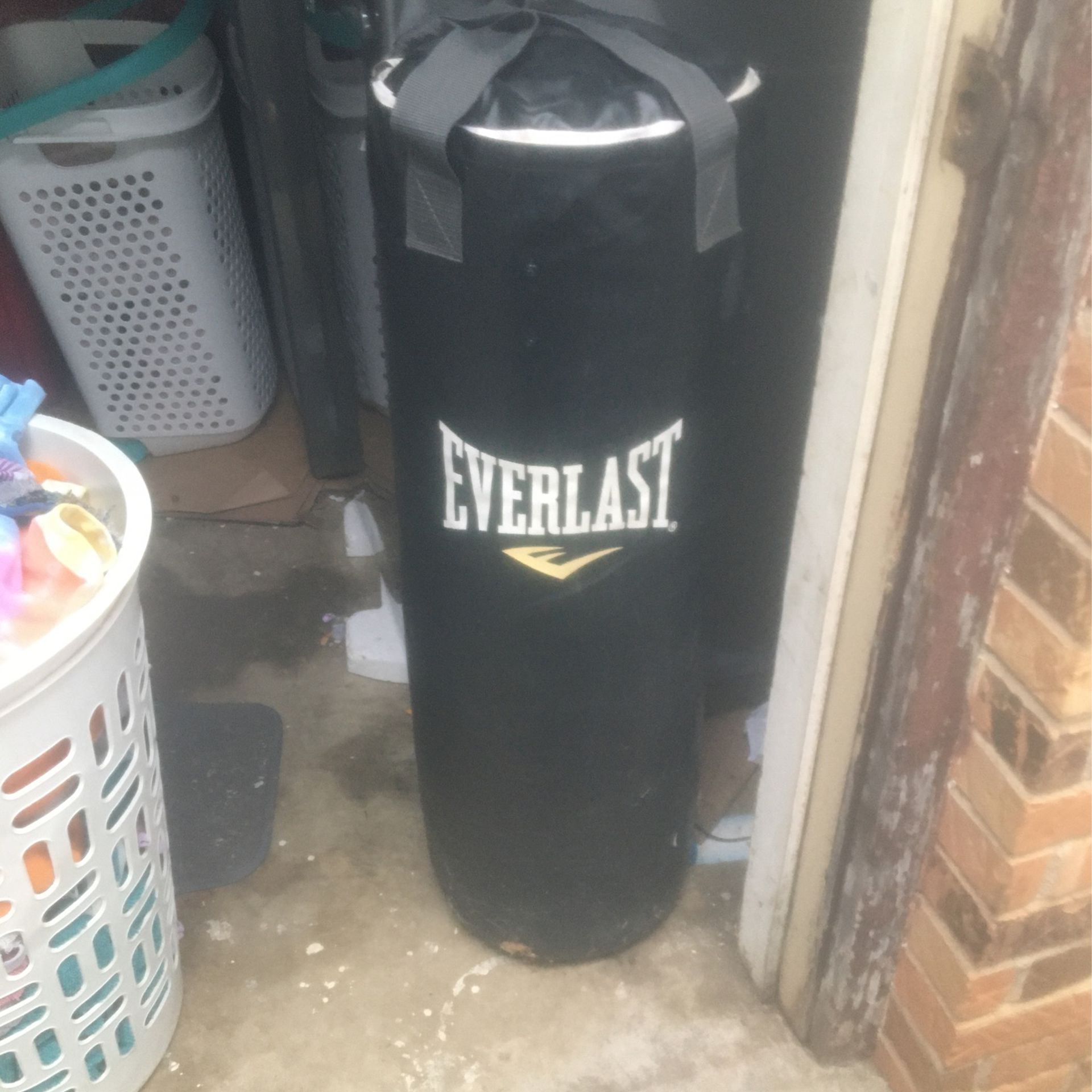 Everlast Punching/kicking Bag