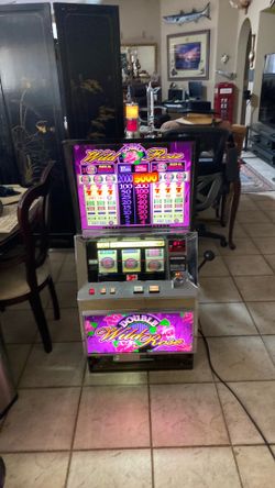 Double Wild Rose slot machine