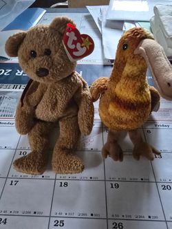 TY Beanies babies curly the Bear & Beak the kiwi  bird
